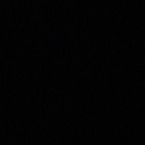 Meet your Posher, Joey